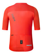 GOBIK Maillot Manga Corta Hombre Stark Boynton - Imagen 2