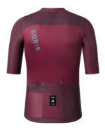GOBIK Maillot Manga Corta Hombre Attitude 2.0 Barossa - Imagen 2
